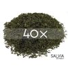 Salvia Extract 40X